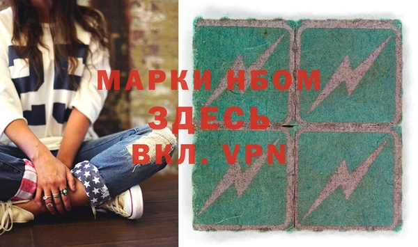 хмурый Алексин