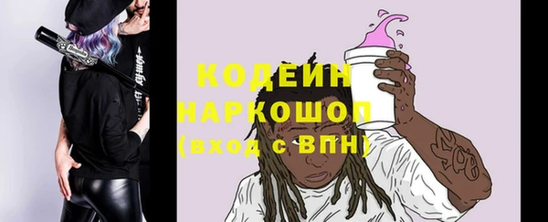 хмурый Алексин