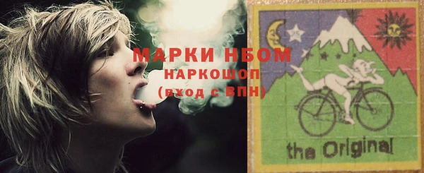 прущие грибы Алзамай
