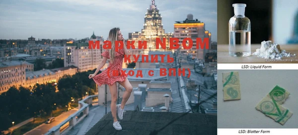 хмурый Алексин